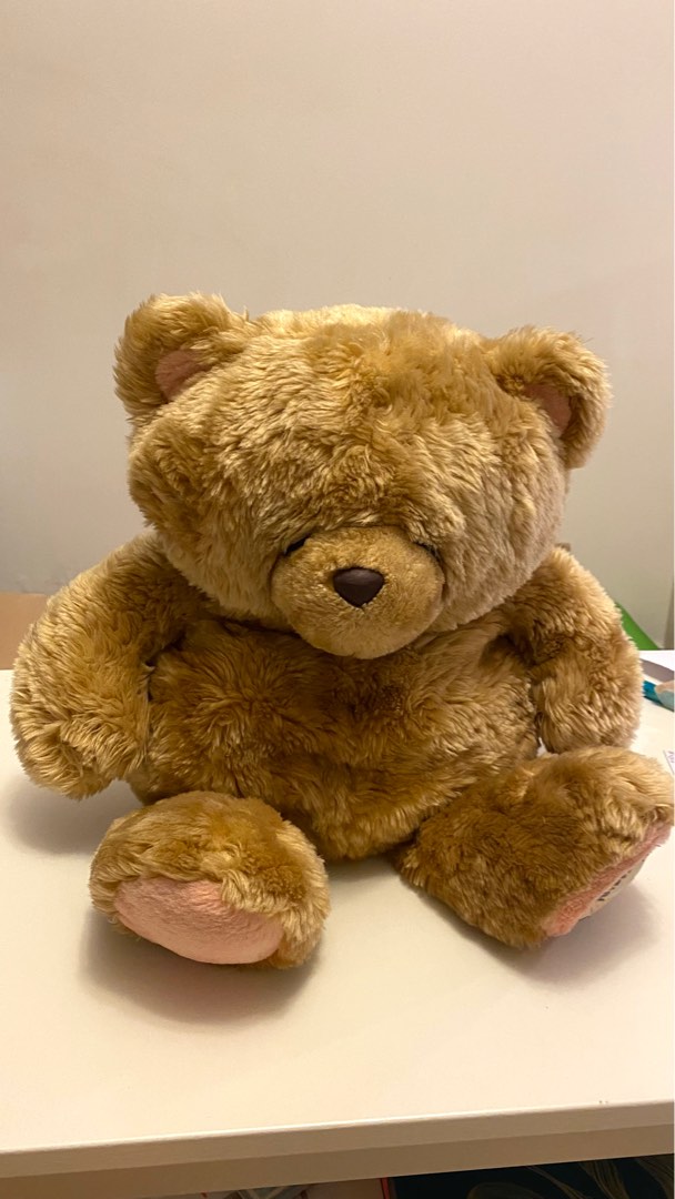 teddy bear imagesbig size