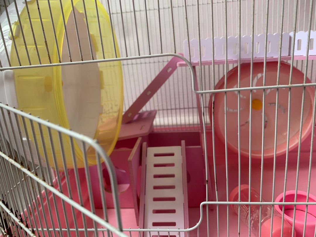 Hamster cage, Pet Supplies, Homes & Other Pet Accessories on Carousell