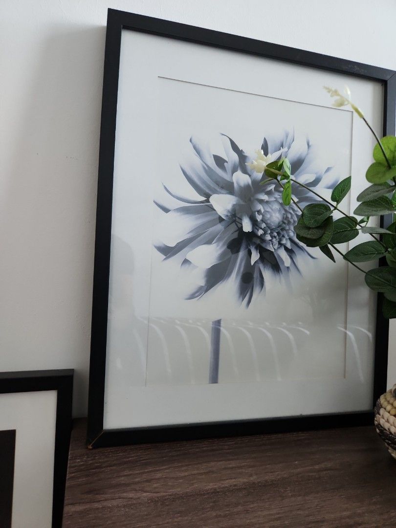Ikea black and white frames, Furniture & Home Living, Home Decor