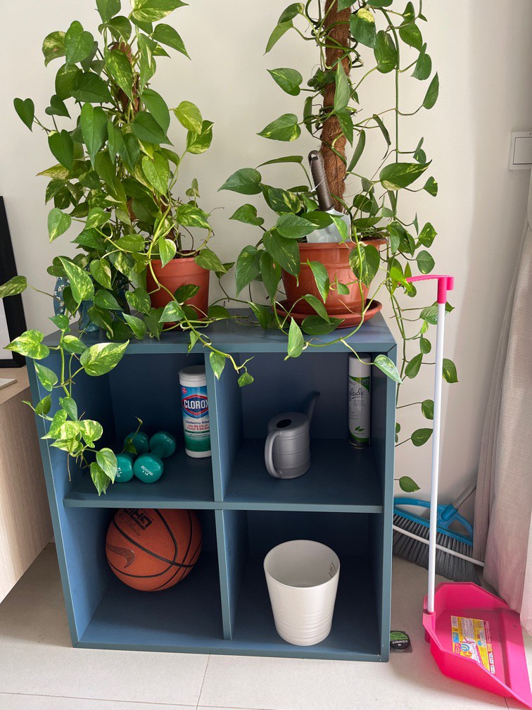 Ikea book stand, Furniture & Home Living, Furniture, Shelves, & Racks on Carousell