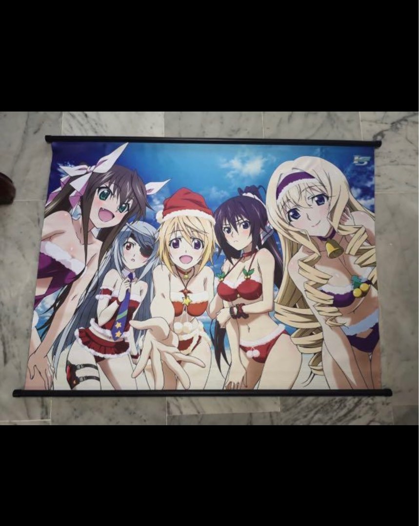 Lingyin - Infinite Stratos *90s graphic design* Poster for Sale by  Carryneon