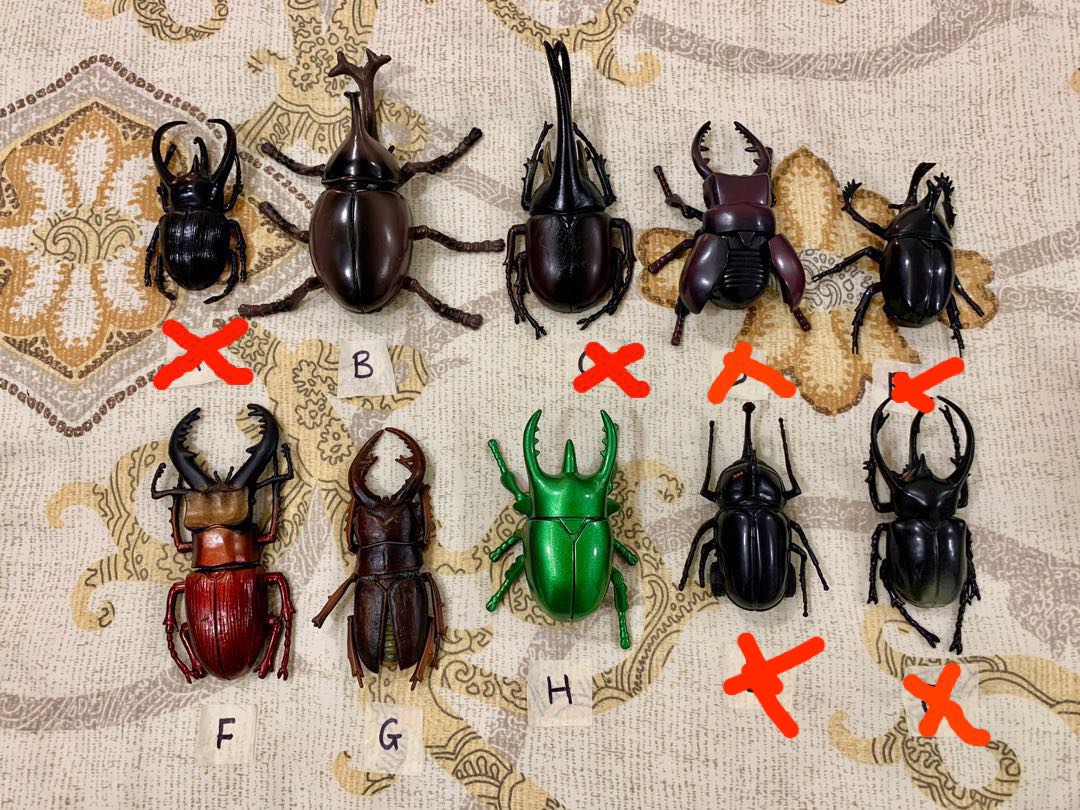 Rhino beetle toy outlet