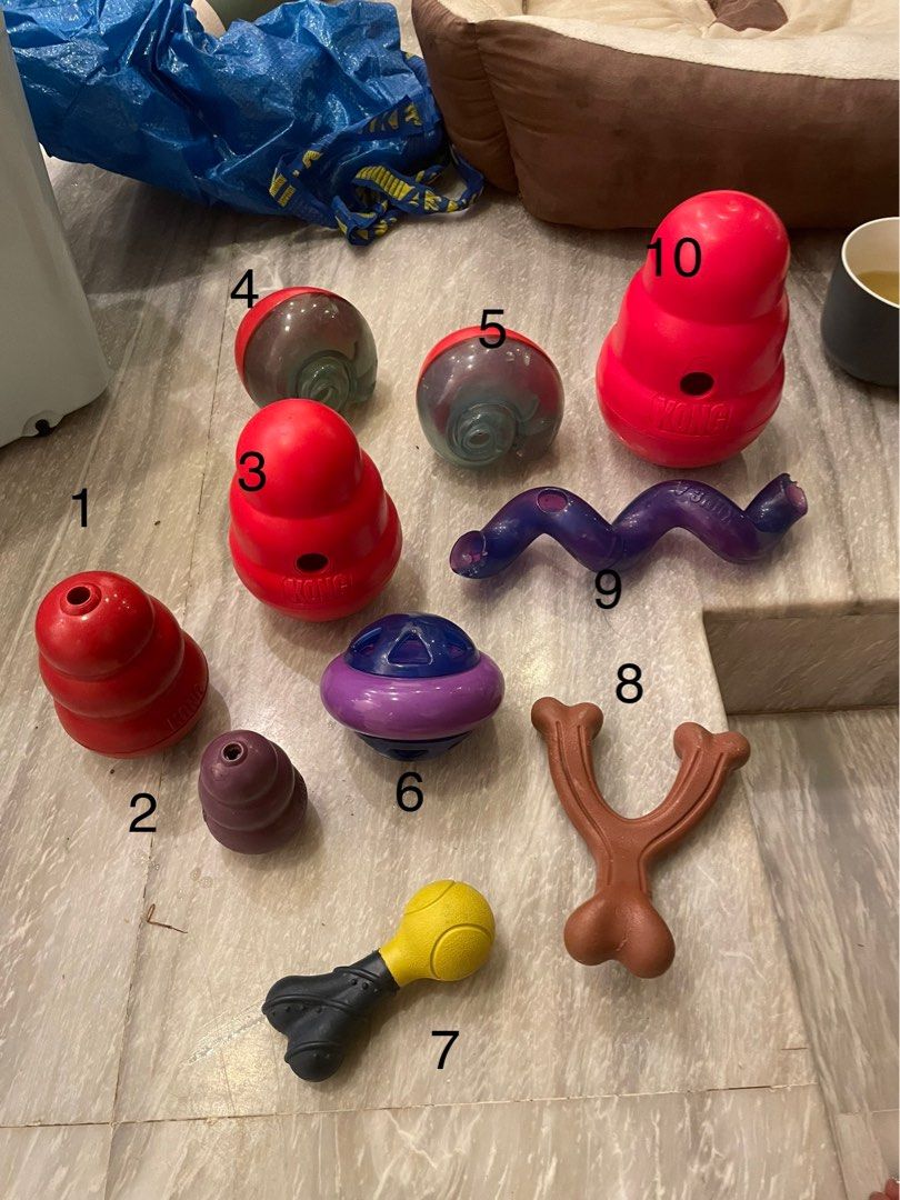 Nylabone kong on sale