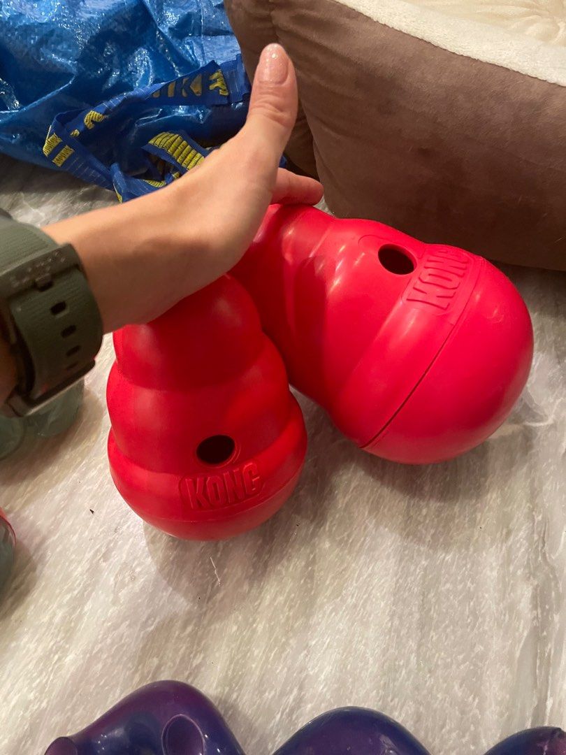 Nylabone kong outlet