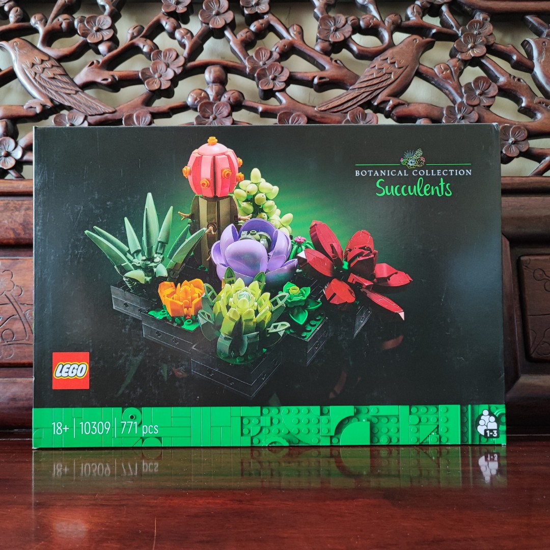 Lego 10309 Botanical Collection Succulents, Hobbies & Toys, Toys ...