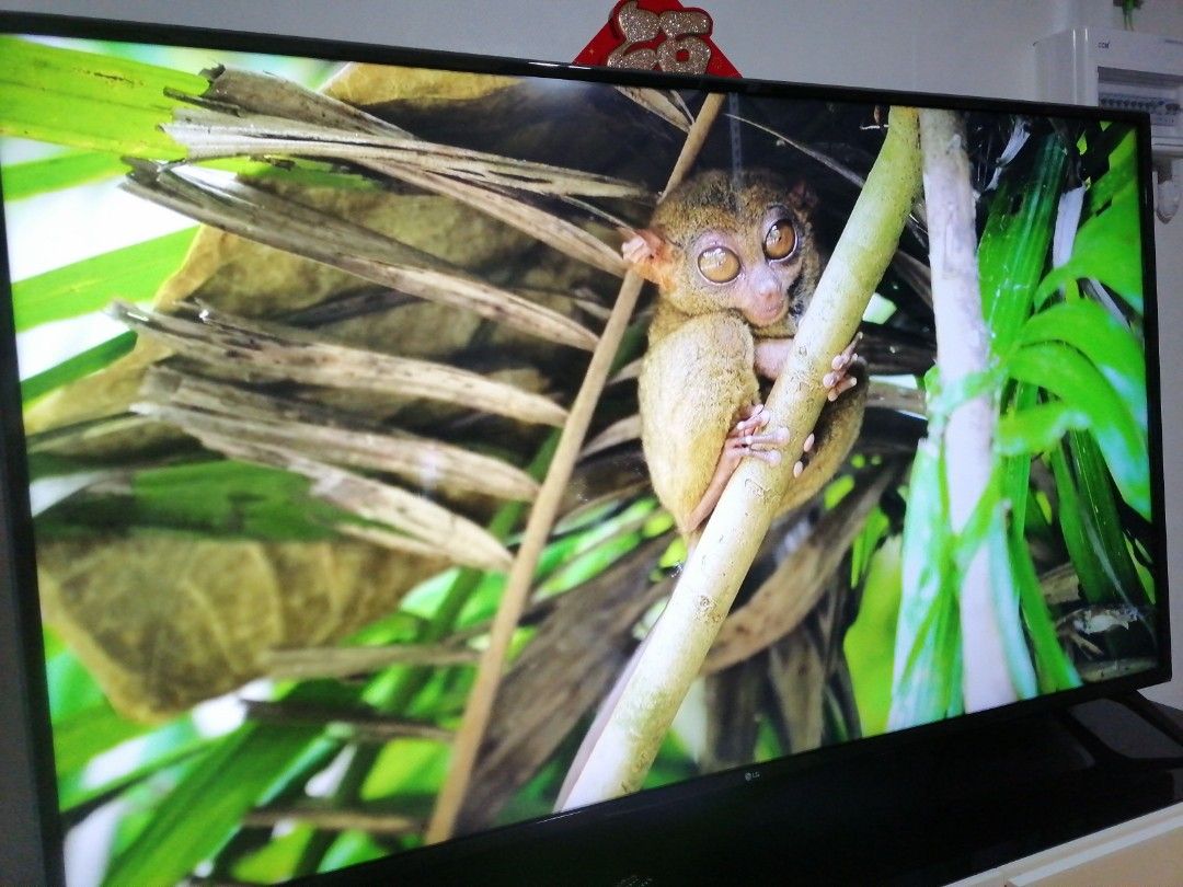 Lg 4k smart tv 65 inch, TV & Home Appliances, TV & Entertainment, TV on