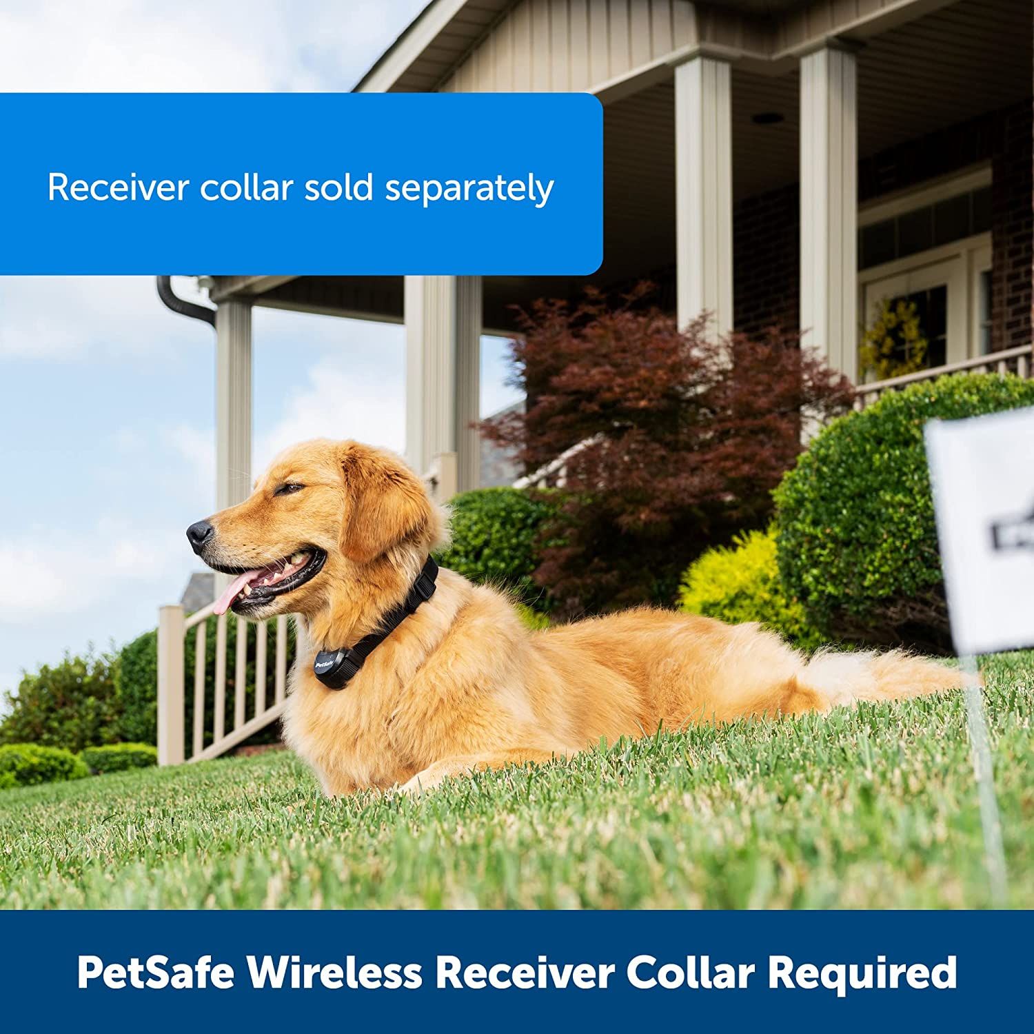 PetSafe Stay & Play Extra Wireless Fence Transmitter, Increase Your  Existing Wireless Boundary 