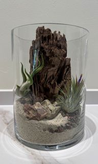 (Category: ) located in . Submitted by veliscorin (Listing ID 1198154053, Image 1). Description: .