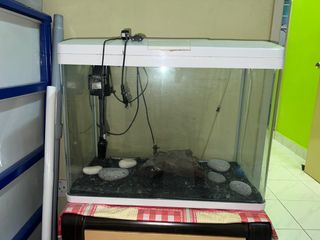 (Category: ) located in . Submitted by sjr11 (Listing ID 1198378739, Image 1). Description: .
