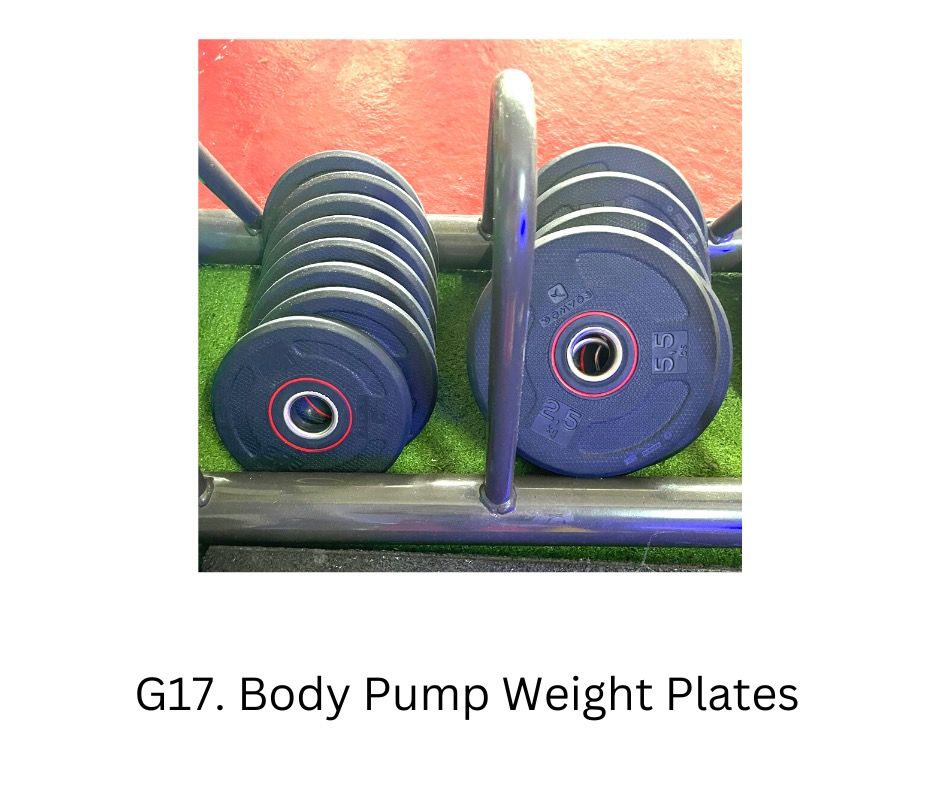 Body pump best sale plate weights