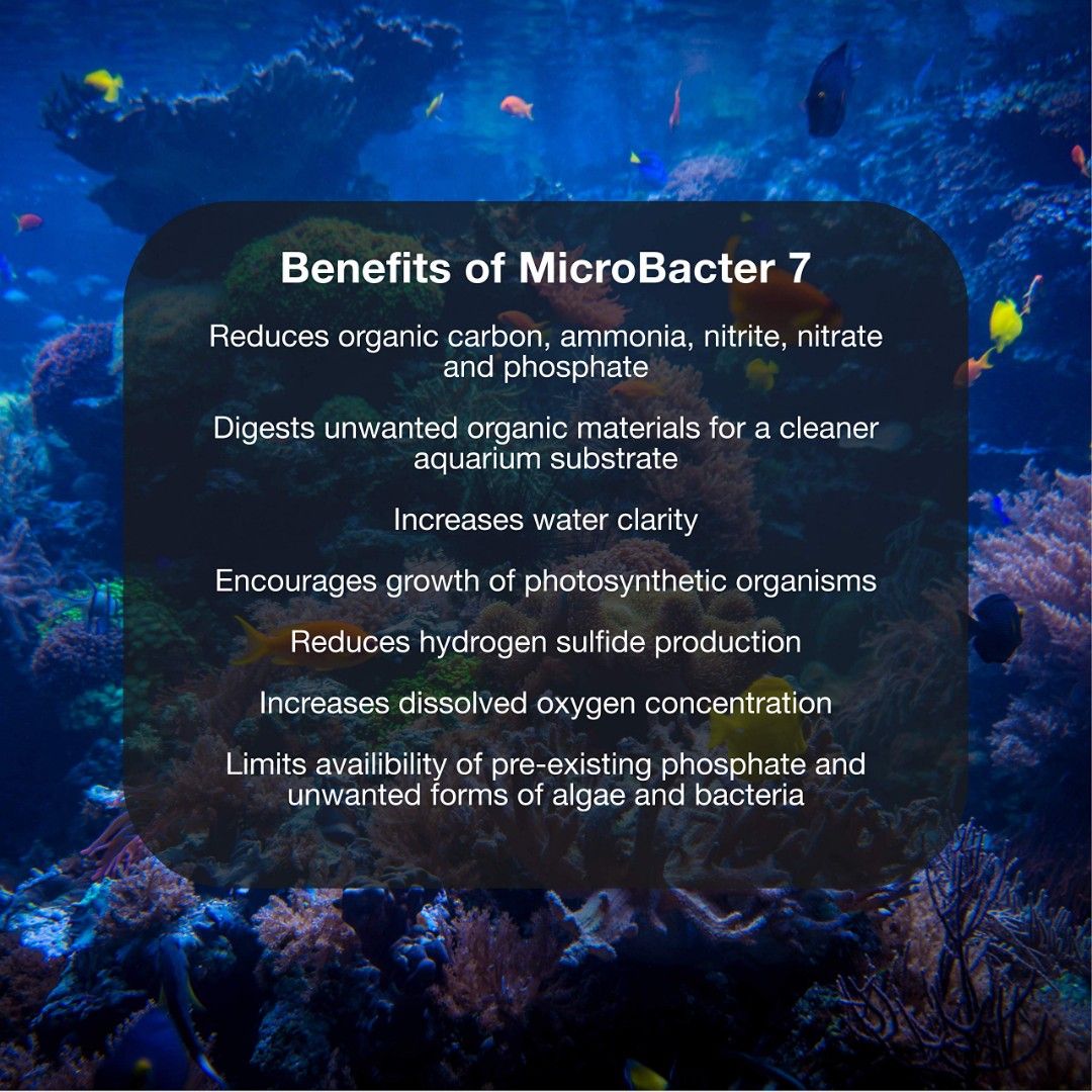 Brightwell Aquatics MicroBacter7 Complete Bioculture (500ml) (marine