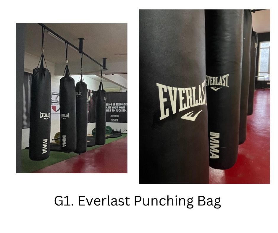 Everlast punching top bag for sale