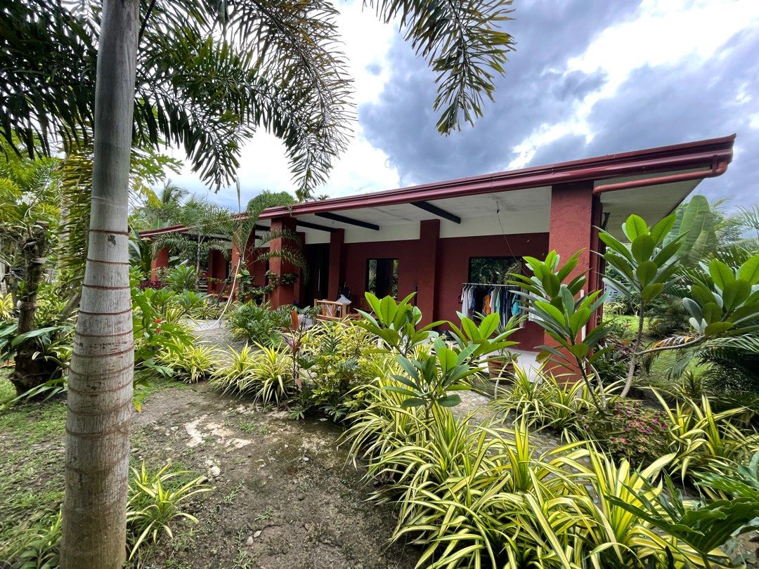 House and lot with resort (Category: House & Lot) located in Calamba. Submitted by angelspetdogs (Listing ID 1198397748, Image 3). Description: house en lot in pila laguna with resort tahimik ang lugar ganda bakasyunan nasa iba bansa na may ari kaya binebenta na. Ako ung trustee na direct sa pinsan ko may ari ng property .