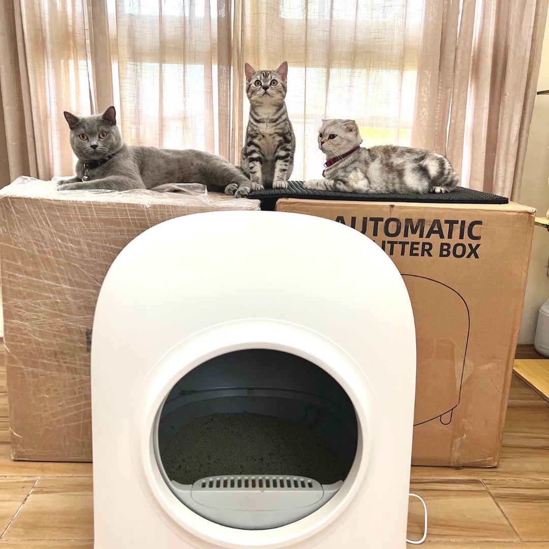 Petree Gen 2 Smart Litter Box, Pet Supplies, Health & Grooming on Carousell