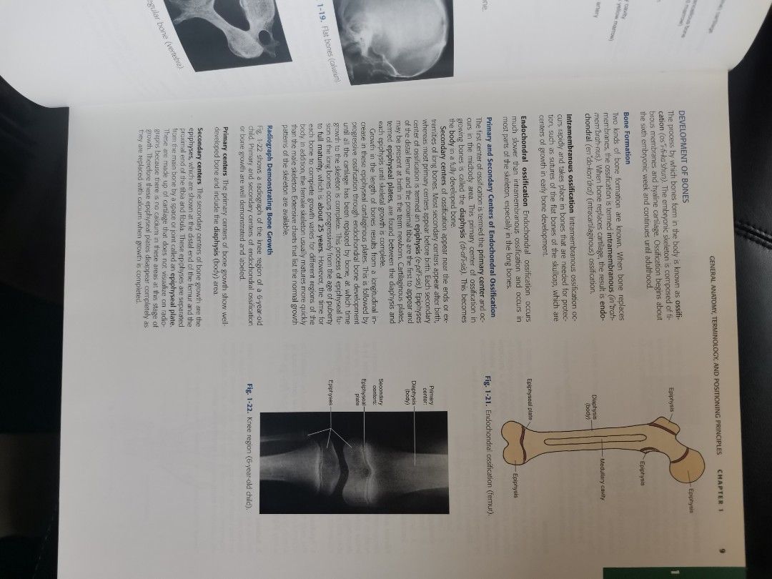 RADIOGRAPHIC POSITIONING AND RELATED ANATOMY PDF FREE visual data 5