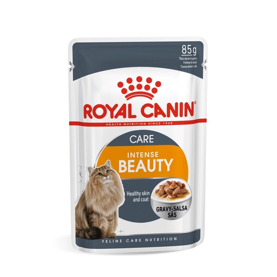 Royal canin wet deals food kitten