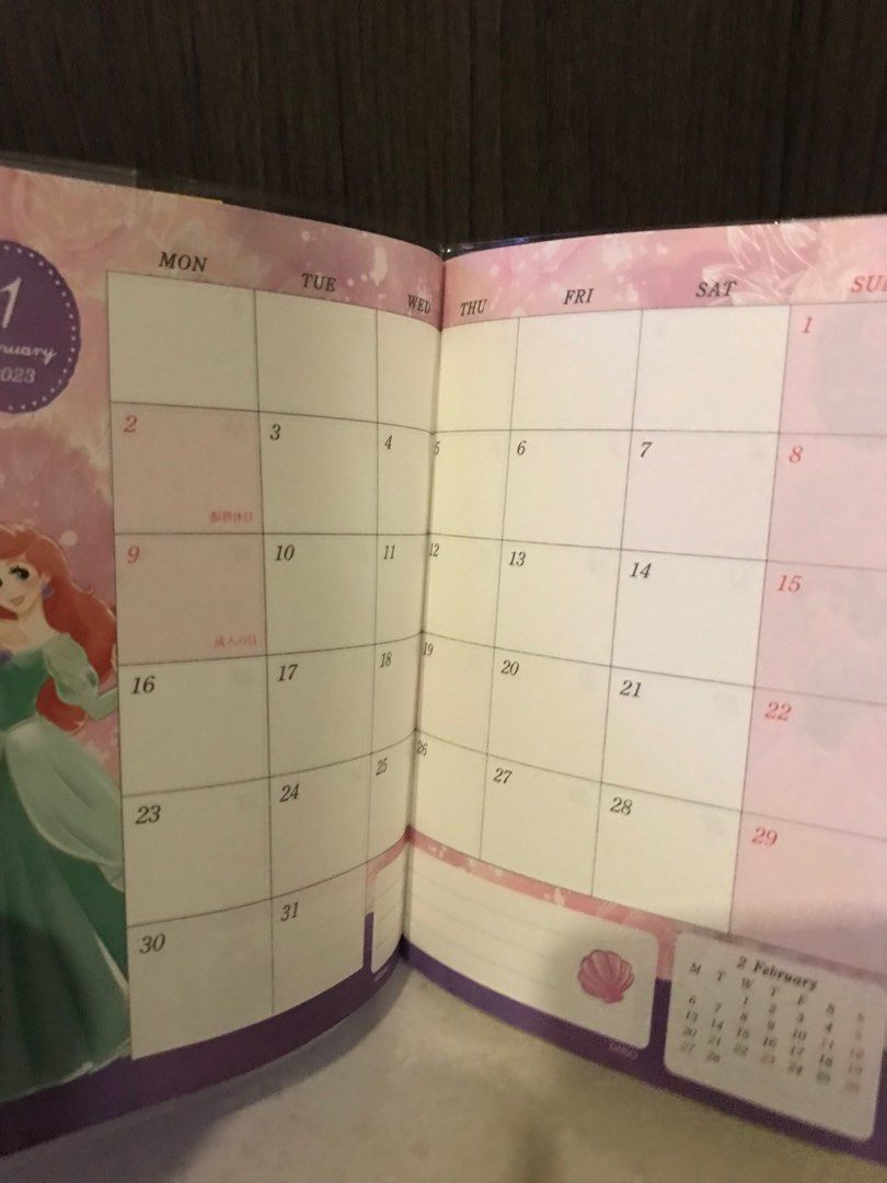 Disney Princess Schedule