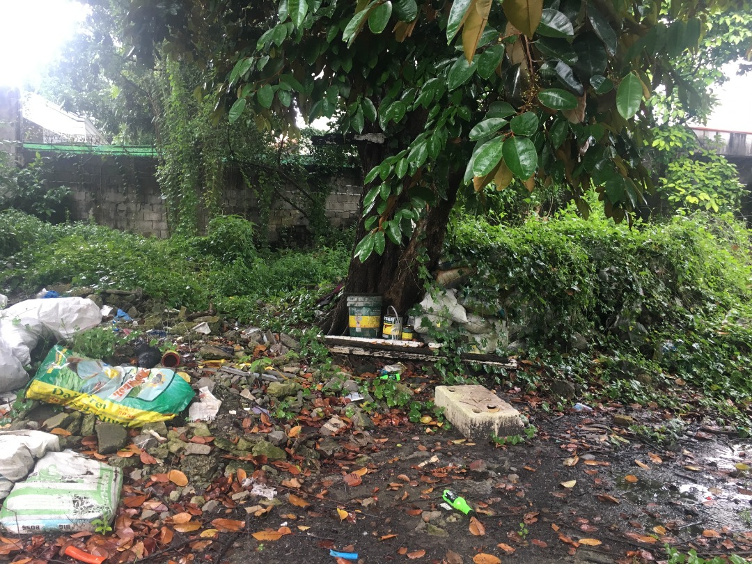 (Category: ) located in . Submitted by dominiclorico (Listing ID 1198565289, Image 1). Description: .