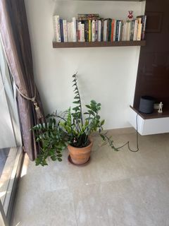 (Category: ) located in . Submitted by ankit3251 (Listing ID 1198499626, Image 1). Description: .