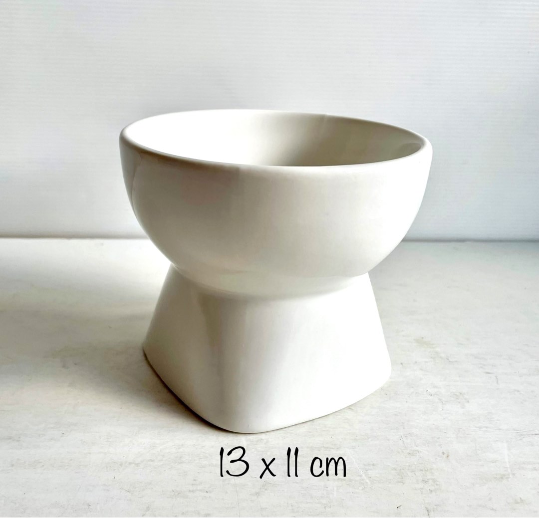 Classy cat bowls shop