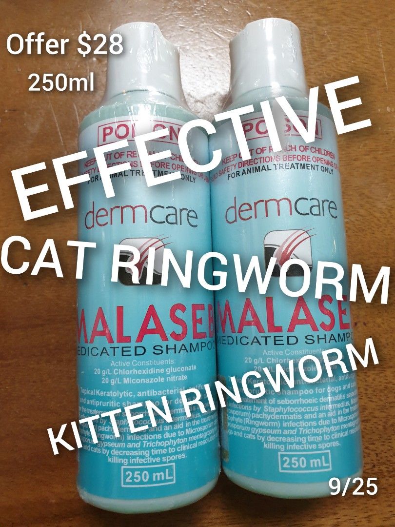 Cat Ringworm Kitten Ringworm Dermcare Malaysia Medical Shampoo Super