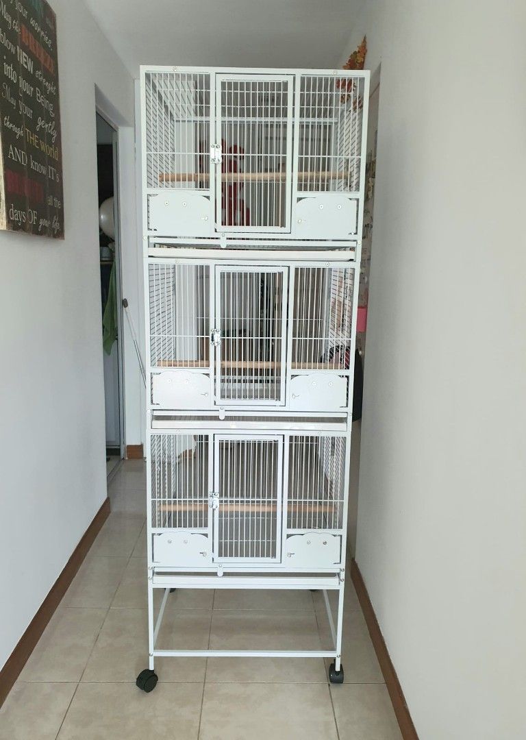 Parrot Bird Cage Pet Supplies Homes Other Pet Accessories On Photo Inspiration