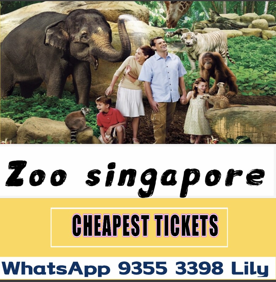 singapore zoo night safari tickets