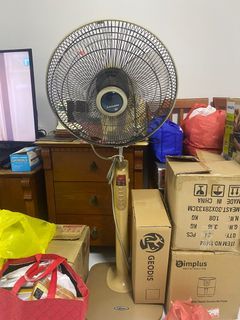 Standing Fan