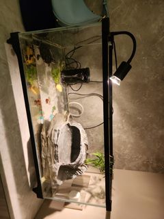 （分類：）位於 。 由 jays820 提交（商品編號 1198604805，圖片 1）。簡介： 。