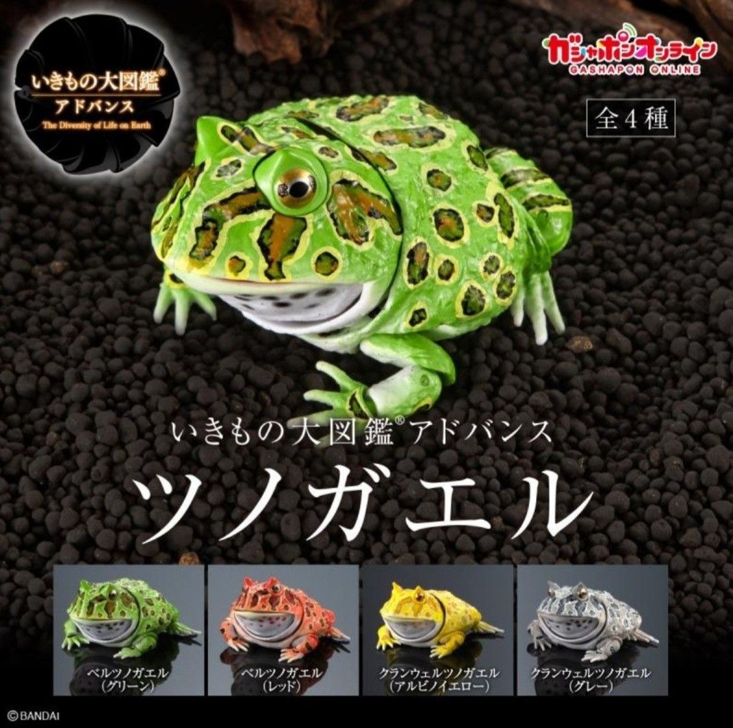 S.H.Figuarts 仮面ライダー 7体セット 全新🔥旺角店現貨🔥角蛙扭蛋生物大圖鑑Ultimate Ceratophrys Cranwelli
