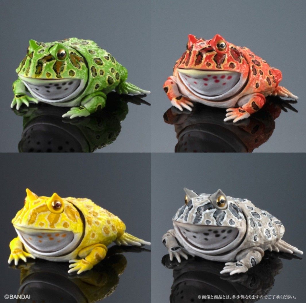 S.H.Figuarts 仮面ライダー 7体セット 全新🔥旺角店現貨🔥角蛙扭蛋生物大圖鑑Ultimate Ceratophrys Cranwelli