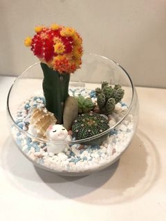 (Category: ) located in . Submitted by jojo8899s (Listing ID 1198423351, Image 1). Description: .