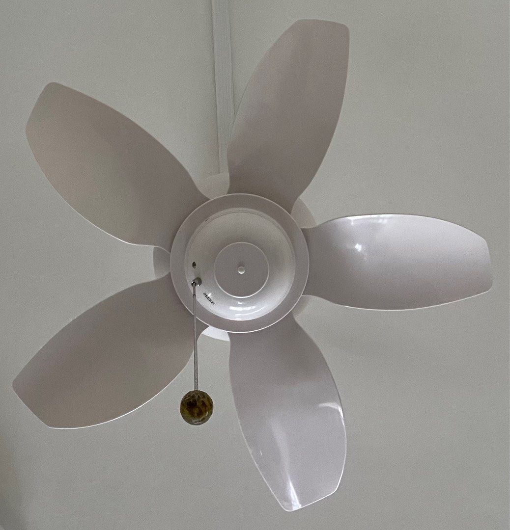 Can You Paint Plastic Ceiling Fan Blades Shelly Lighting