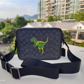 Coach dinosaur pouch sales