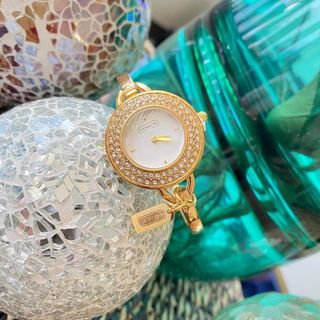 Coach bangle store watch price philippines