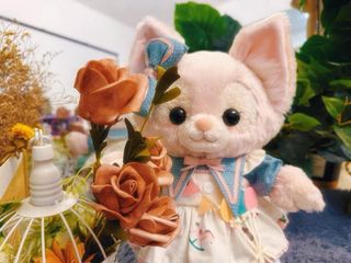 （分類：）位於 。 由 cocofi 提交（商品編號 1198676916，圖片 1）。簡介： 。