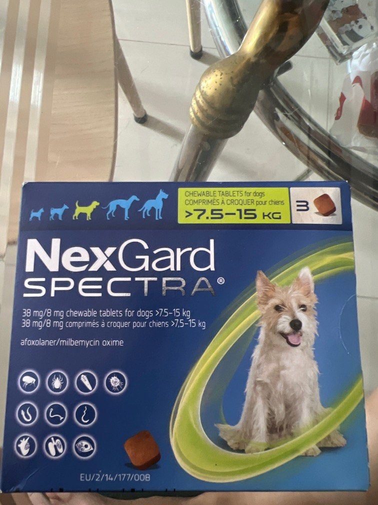 hermit crab heating pad