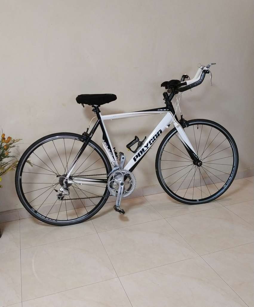 Polygon deals tt bike