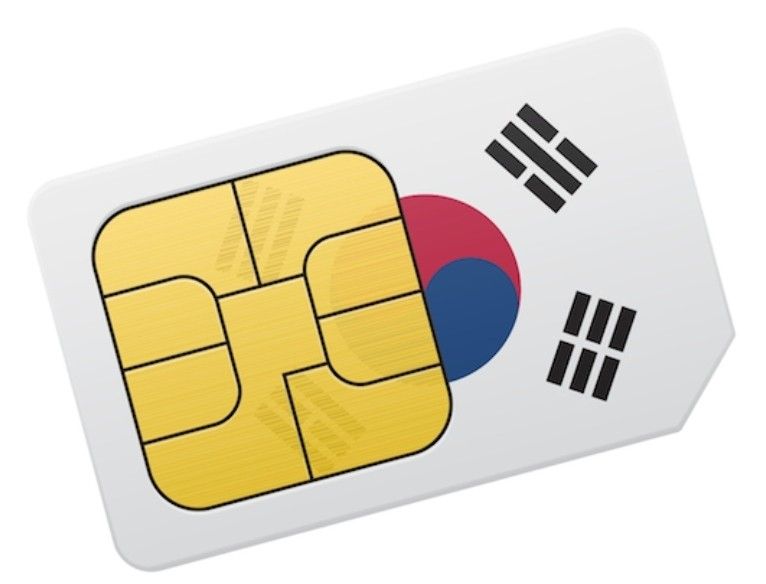 South Korean SIM Card 30GB for 30 days, Hobbies & Toys, Travel, Travel