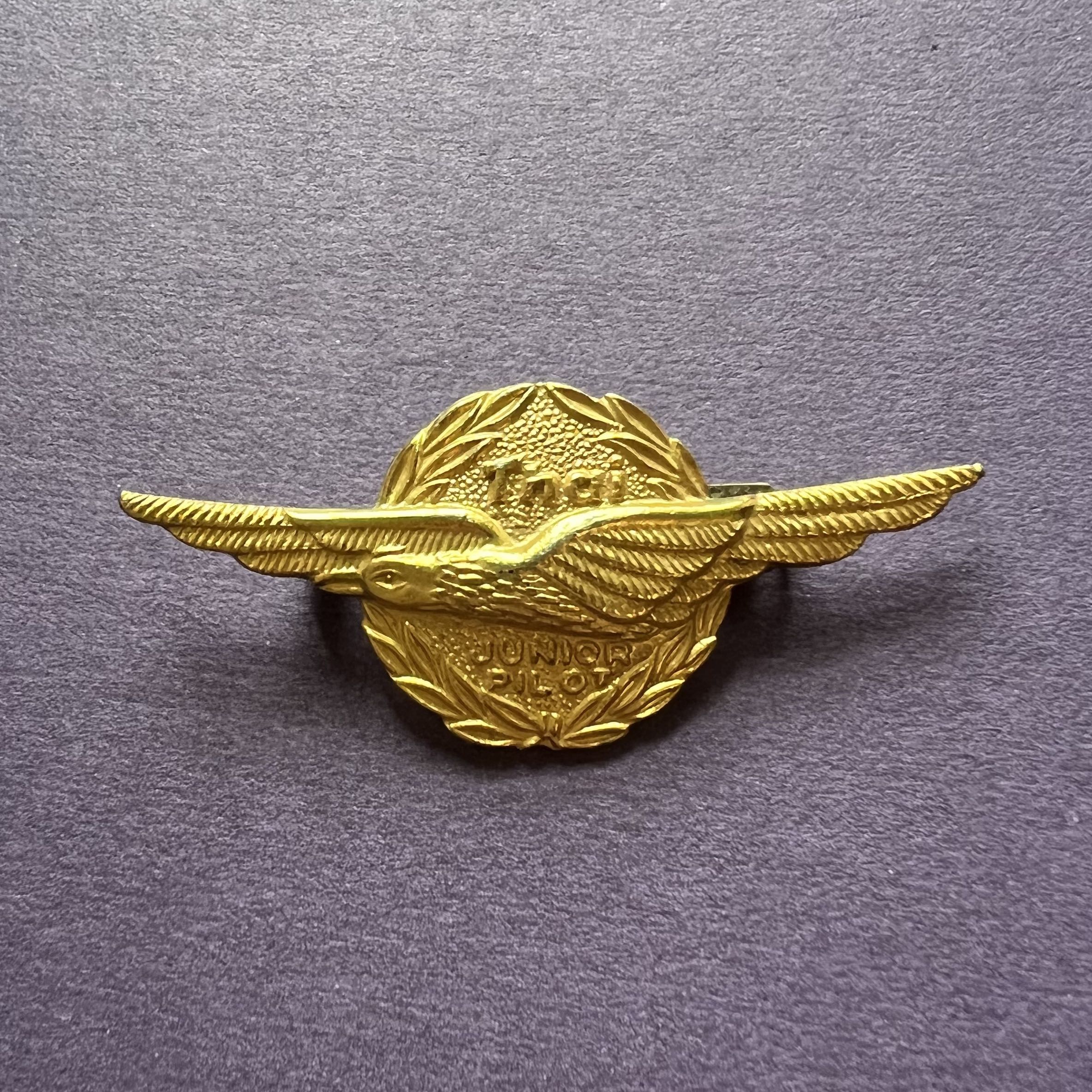 包郵90年代初泰航機師徽章襟章金屬Thai Junior Pilot Badge Thai