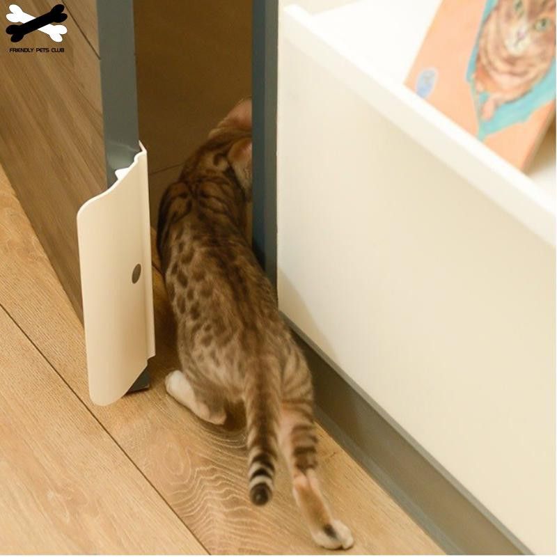 Automatic cat shop door opener