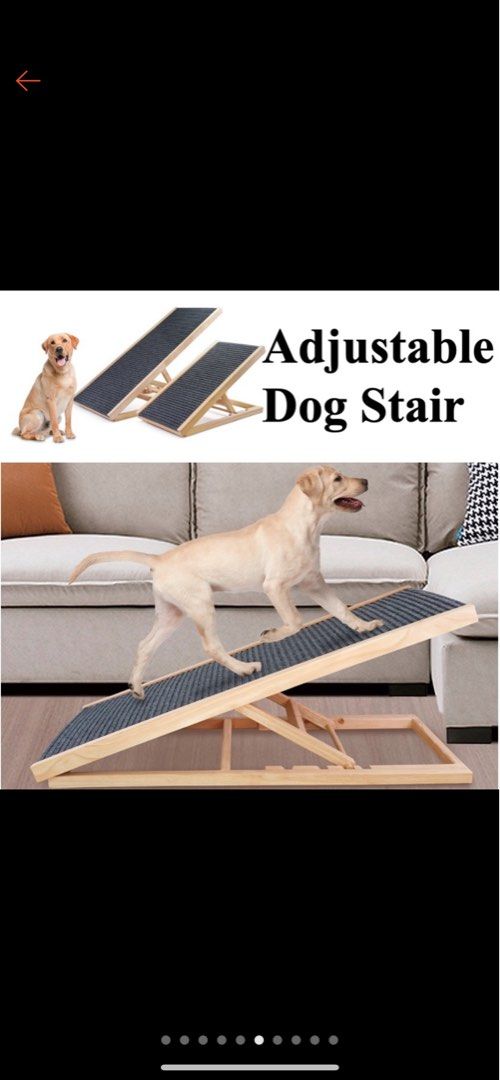 Dog ramp brand new Pet Supplies Homes Other Pet Accessories on