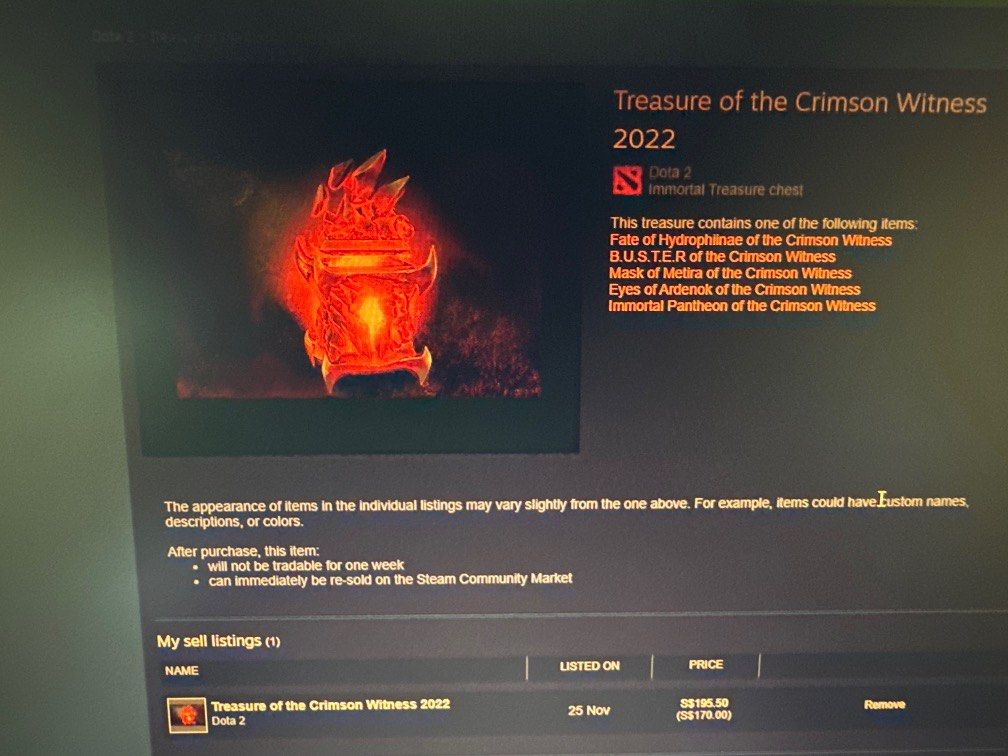 Dota 2 Crimson Chest, Video Gaming, Gaming Accessories, InGame