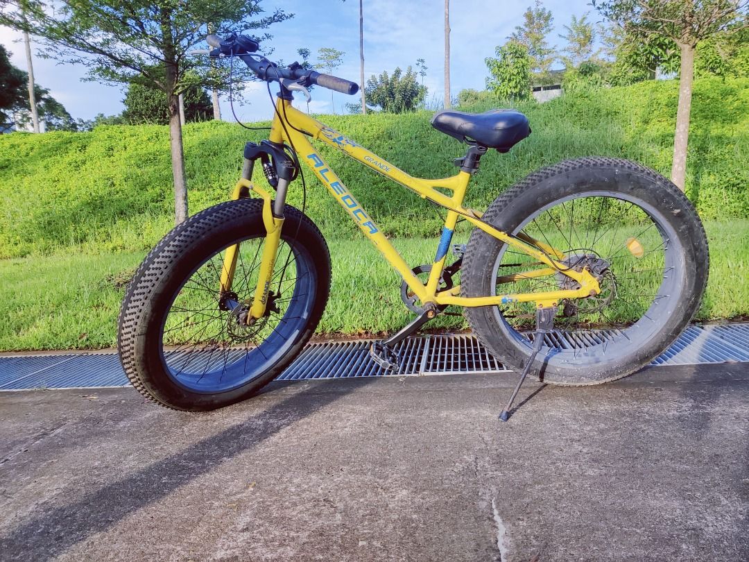 Aleoca fat bike price outlet