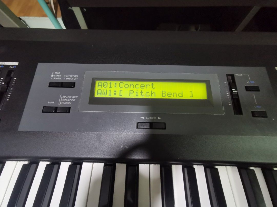 sg pro x stage digital piano, Hobbies & Toys, Music & Media