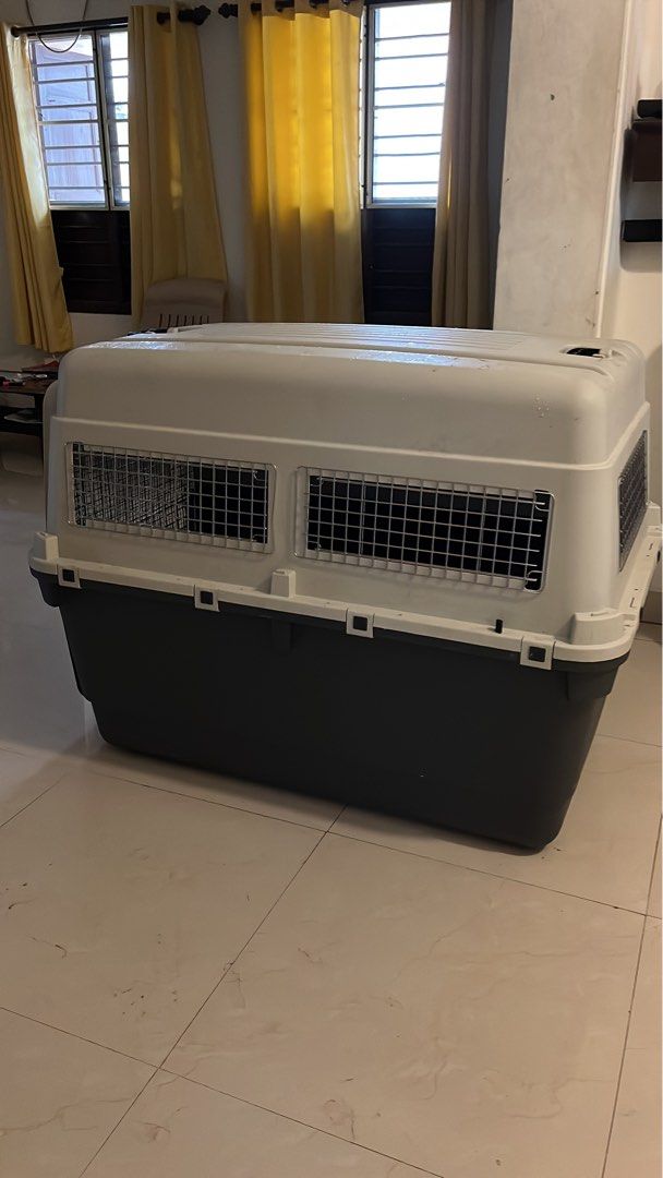 IATA approved Large Dog crate for sale, Pet Supplies, Homes & Other Pet