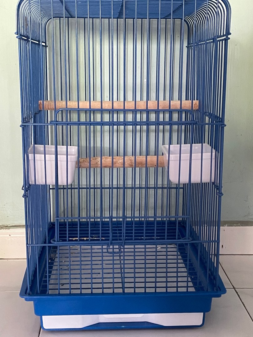 parrot cage cost