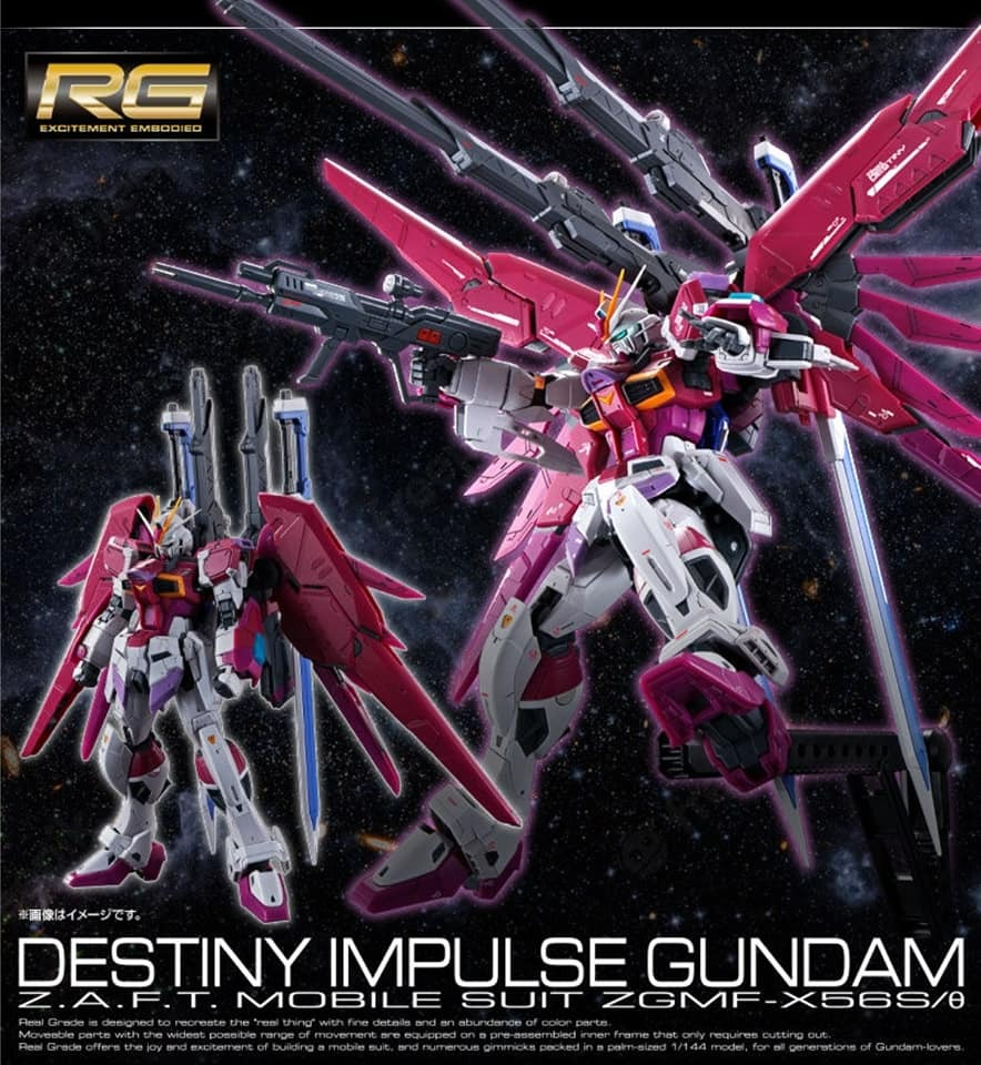PREMIUM BANDAI BANDAI RG 1/144 Destiny Impulse Gundam Model Kit