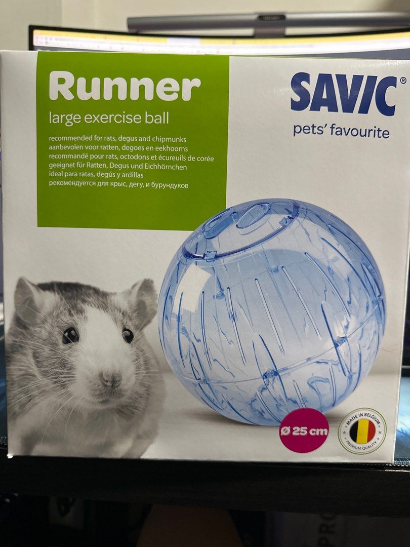 Hamster store ball large