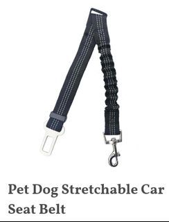 Stretchable and fixed dog leash for car.